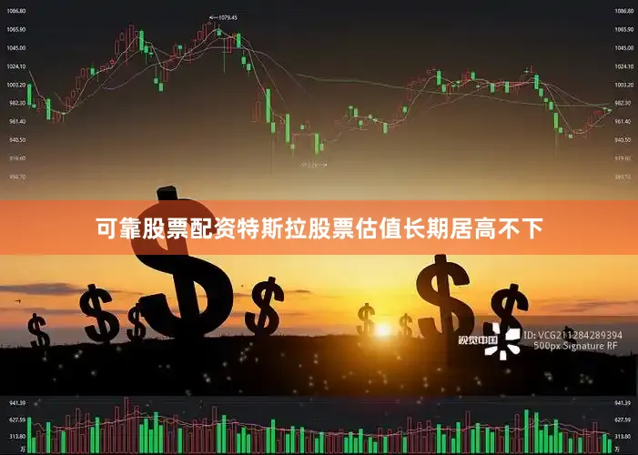 可靠股票配资特斯拉股票估值长期居高不下
