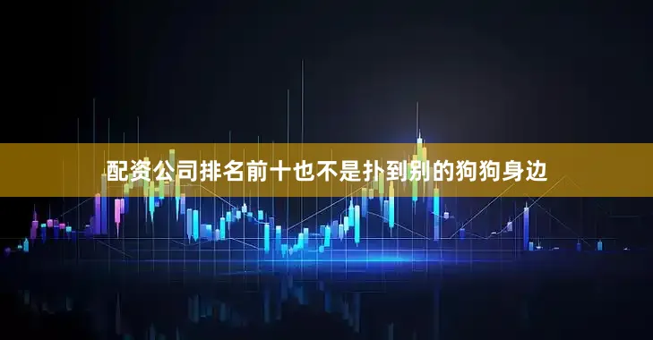 配资公司排名前十也不是扑到别的狗狗身边