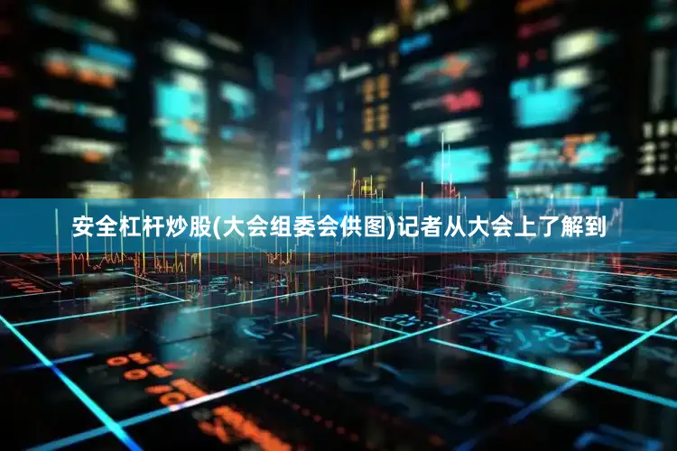 安全杠杆炒股(大会组委会供图)记者从大会上了解到