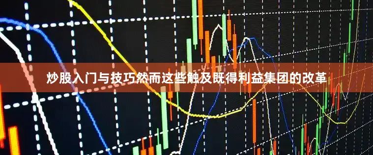 炒股入门与技巧然而这些触及既得利益集团的改革